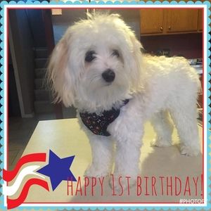 Meet your Posher, Susan